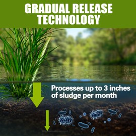 Muck Reducer - 1LB Natural Sludge Solution Pellets for Ponds & Lakes, Away Muck & Odor Control, Safe for Aquatic Life, Wildlife & Recreation, Treats Up to 7,000 Sq Ft