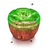 GREENSTRIKE 2-Pack Fruit Fly Traps for Indoors use. 120 Days