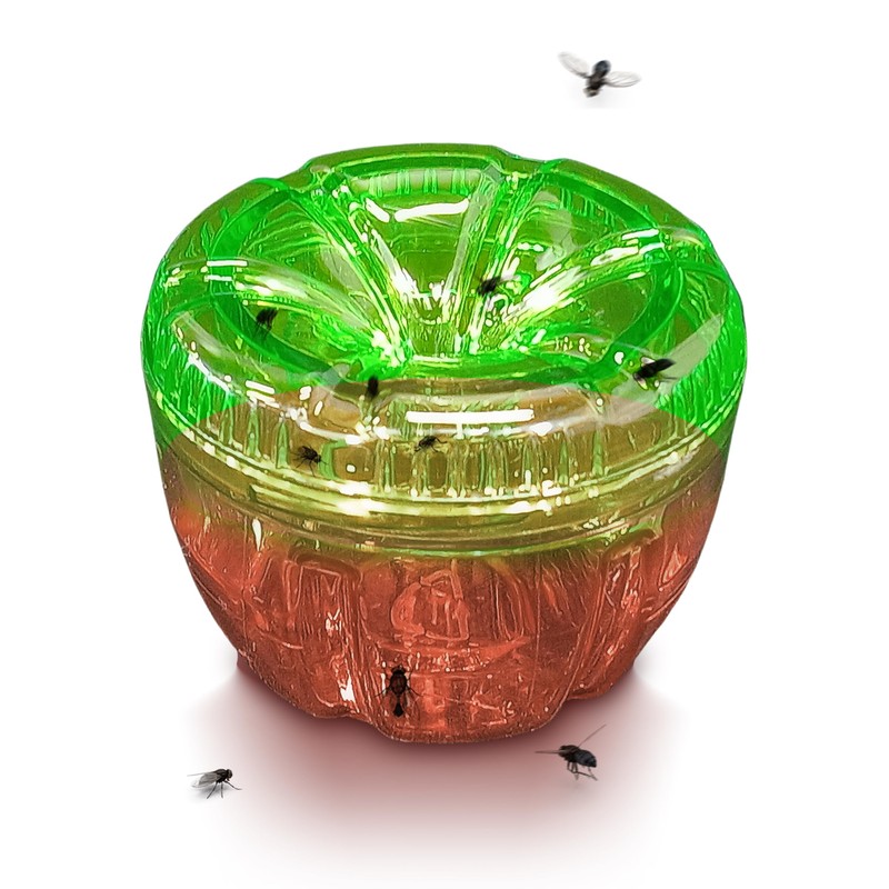GREENSTRIKE 2-Pack Fruit Fly Traps for Indoors use. 120 Days