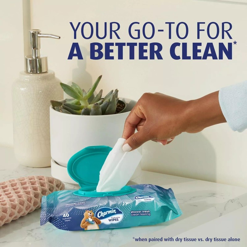 Procter & Gamble Charmin Flushable Wipes, 160 Total Wipes (4