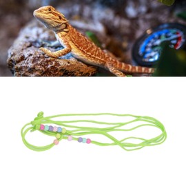Bearded Dragon Lizard Leash Harness, Adjustable Beads Wing Lizard Harness Leash Small Animal Traction Rope for Bearded Dragon Lizard Reptiles (Green)