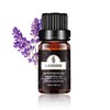Jiutrees ラベンダー エッセンシャルオイル 10ml 天然100％ 精油 アロマオイル アロマ アロマディフューザー 加湿器用