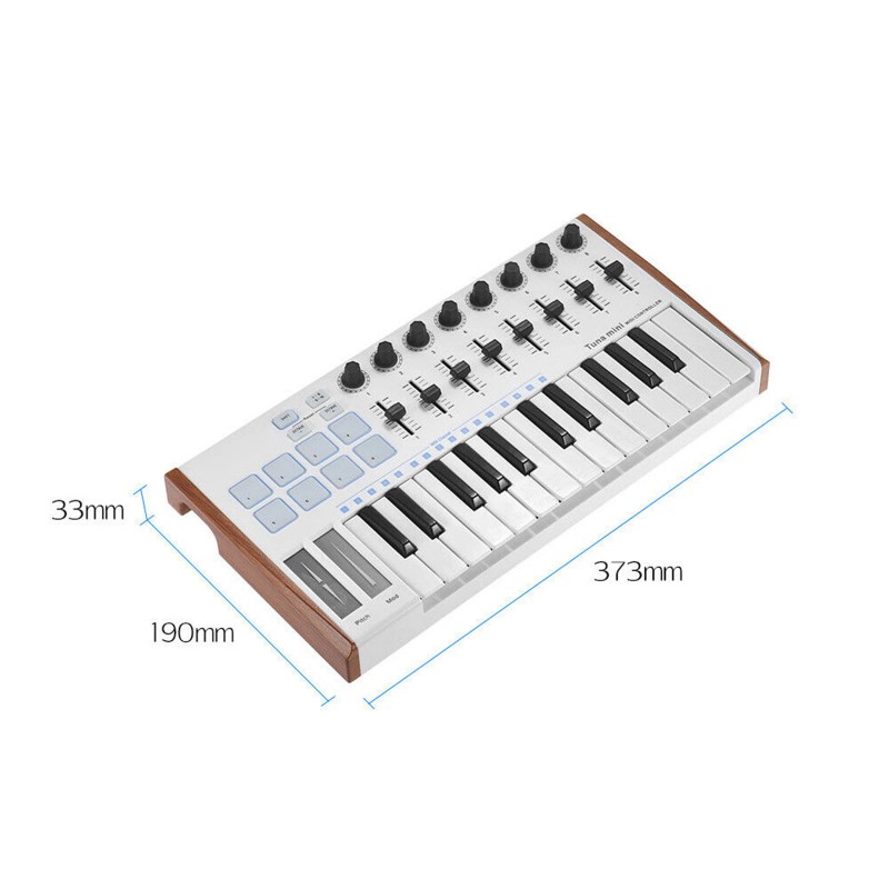 Unbranded WORLDE Tuna Mini USB MIDI Keyboard Controller 25 Key
