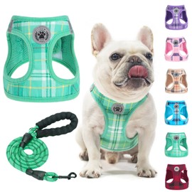 BEAUTYZOO Small Dog Harness and Leash Set,Step in No Choke No Pull Soft Mesh Dog Harnesses Reflective for Extra-Small/Small Medium Puppy Dogs and Cats, Plaid Dog Vest Harness for XS S Pets,Turquoise M