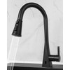 Hibbent Pull Down Kitchen Faucet Head Replacement, NSF/ANSI/CAN 61 &
