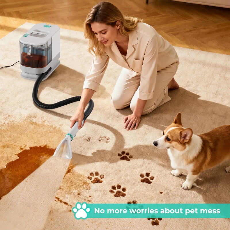 HAUSHOF Portable Carpet Spot and Upholstery Cleaner Machine Deep Stain