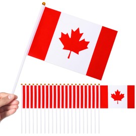 AUGSHY 22Pcs Canada Handheld Flags,14 x 21 cm Small Canadian Flag on Stick Patriotic Decorations for Canada Day Parades Outdoor Events Celebrations