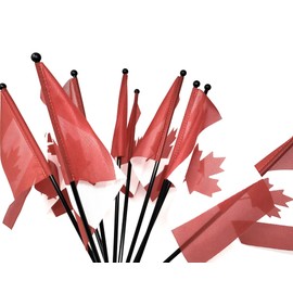 TJ's Premium Canada Handheld Flags, 14-Inch Flag Pole and 9 x 5.25-Inch Flag, For the Love of Canada Flag, Flags for Parades, Parties, Outdoor Decorations, and Souvenirs - 10 Flags per Pack