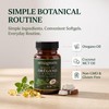 AiVitality Amagreen Aceite Oregano y Coco - 60 Softgels, Oregano