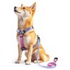 Dog Harness Leash Set, No Pull Adjustable Halter Cute Comfort