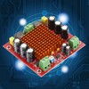 HW‑446 Single Track 150W Output TPA3116DA Chip Digital Audio Power