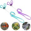 Bonaweite 2 Pack Adjustable Harness Leash, Pet Birds Nylon Anti-bite