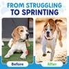 Joint Aid & Relief for Dogs, Dog Joint Aid Liquid