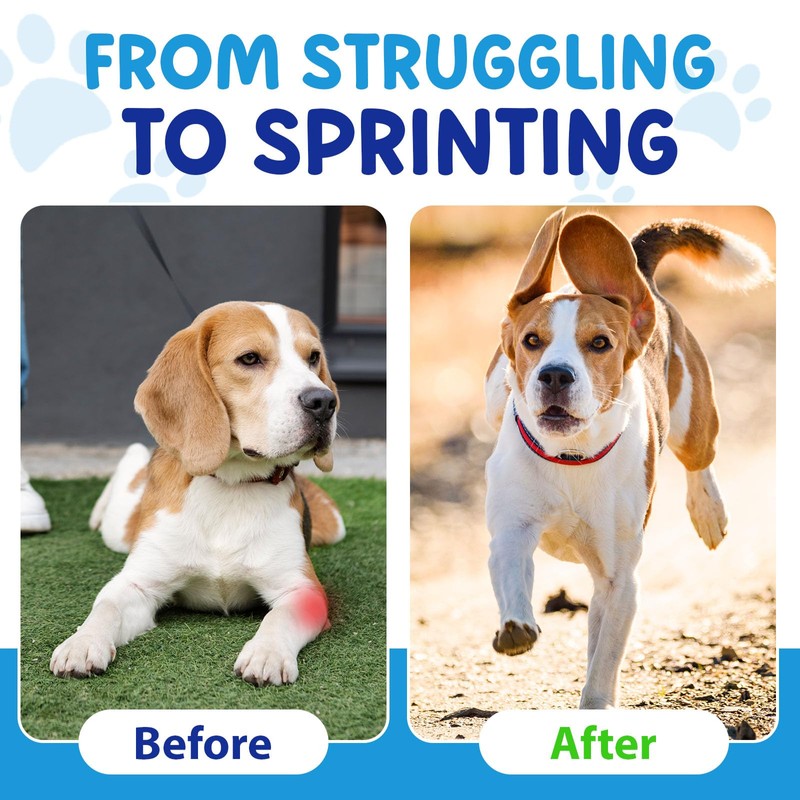 Joint Aid & Relief for Dogs, Dog Joint Aid Liquid