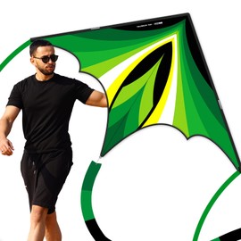 Doinfly Delta Kite - Easy to Fly, Perfect for Outdoor Fun,Complete Set with Kite, Kite Board, and String,Eye-Catching Design Ideal for Beach Games and Activities,Perfect for Beginners(Green)