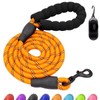 Hilkycton Heavy Duty Dog Leash, 4/5/6FT Reflective Rope Dog Leash