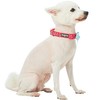 Blueberry Pet 4 Patterns Adjustable Flocking Dog Collar with Detachable