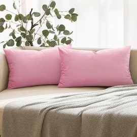 ANRODUO Pack of 2 Velvet Baby Pink Throw Pillows Spring Decorative Pillow Covers Euro Cushion Case Soft Solid Lumbar Cozy Modern Home Decor Pillowcase for Sofa Couch Bed and Living Room 12x20 Inch
