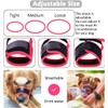 LUCKYPAW Dog Muzzle Anti Biting Barking and Chewing with Comfortable