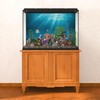 MIRRORANG 76 x 46 cm Underwater Theme Aquarium Background Sunshine