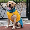 ROZKITCH Dog Jacket Waterproof Dog Raincoat with Harness Opening &