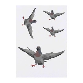 4 x 'Pigeon with Attitude' Temporary Tattoos - Water Resistant, Skin-Safe, Non-Toxic Transfers, Mixed Sizes (TO00074874)