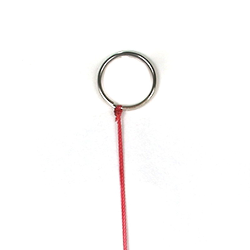 Art-Craft Garden Decoration Sun Catcher Window Decoration