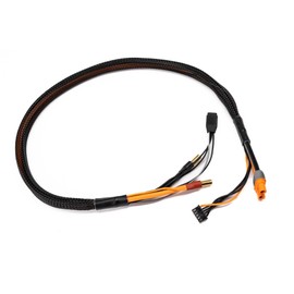 Spektrum SMART Pro Series Race 4s Charge Cable: IC3/5mm 2', SPMXCA330