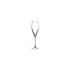 Luigi Bormioli Atelier 9.25 oz Champagne Glasses, 6 Count (Pack