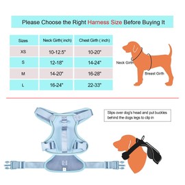 Petmolico Dog Harness for Small Dogs No Pull, Cute Dog Harness with Two Leash Clips and Soft Handle, Reflective Easy Walk Dog Harness with Leash, Light Blue Small