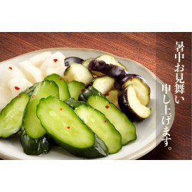 Daisho Beer Japanese Vegetable Pickle Seasoning Mix Tsukemono