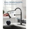 FORIOUS Black Kitchen Faucet with Pull Down Sprayer, Stainless Steel