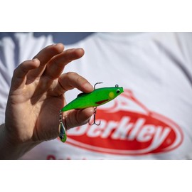 Berkley Pulse Realistic Flash Soft Bait Lure | Paddle Tail Shad for Pike, Perch, Zander & Bass | Flash Foil for Extra Attraction | Ultra-Responsive Swimbait for Freshwater Predators | 17cm, Firetiger