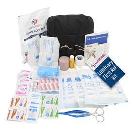 LUMINARY GLOBAL Basic First Aid Kit - Compact MOLLE Compatible Emergency Kit for Outdoor - Essential Supplies for Camping, Hiking & Home - Single Pocket with Secure Buckle - Tactical Black