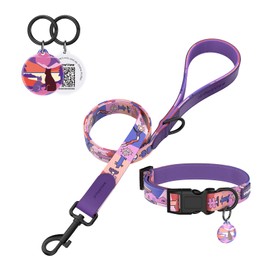 PawView Dog Collar and Leash Set with Smart ID Tag – Adjustable Soft Padded Heavy Duty Comfortable Collar and Leash Set with Cute Pop Art Doodle Design for Small Medium Large Dogs (Purple, Medium)