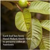 Akshit Organic Dried Guava Leaves, 7.8 oz, Hojas De Guayaba,