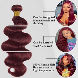 ZGGTL Burgundy Bundles Human Hair 12A 100% Brazilian Raw Human Hair Bundles Quick Weave Double Weft Natural Black for Women Hair Extensions(16Inch)