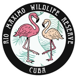 Blue Heron Flamingos Rio Maximo Wildlife Reserve Car Truck Window Bumper Sticker Decal - Black