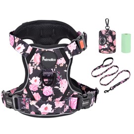 Petmolico No Pull Dog Harness Set with Leash Attachment Easy Control Handle Reflective Harness Vest Small Breed, Puppy Vest and Leash Set with Poop Bag Holder, XS - Boho Floral