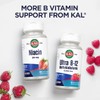 KAL B-12 Methylcobalamin ActivMelt 1000 mcg Natural Raspberry Flavor Healthy