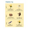 Olos Phyto Essence 50ml Aroma Oil Essence DT / 올로스