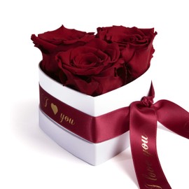 ROSEMARIE SCHULZ Heidelberg Infinity Rose Box Heart 3 Eternal Rose in Dark Red Valentine's Day Gift for Her (I Love You, Burgundy)