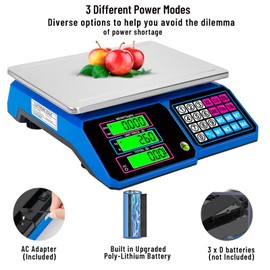 Price Computing Scale：SKEAP DS100 30kg/66 LB Digital Commercial Food Scale,Electronic Meat Scale for Farmers Markets, Retail Outlets, Supermarkets, Blue