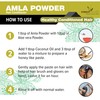 Forest Herbs 100% Natural Organic Amla Powder For Hair Growth