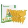 Yellow Sticky Traps for Indoor and Outdoor Pest Control -