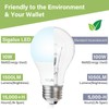 Sigalux Light Bulbs 100 Watt Equivalent,A19 Daylight Standard LED Bulbs