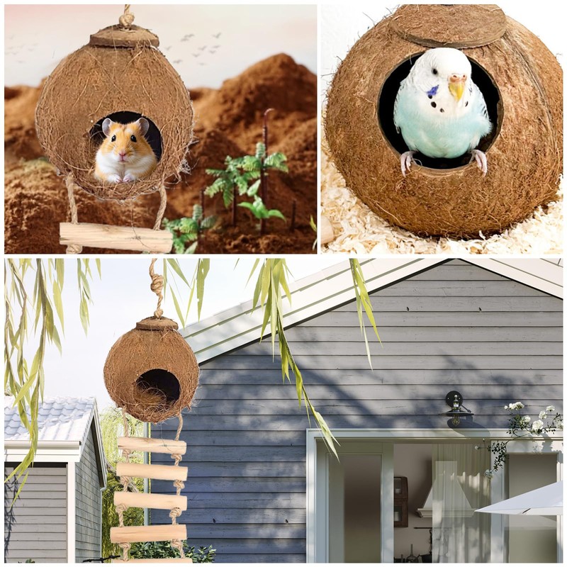 Gecko Coconut Husk Hut, Natural Coconut Shell Bird Nest with