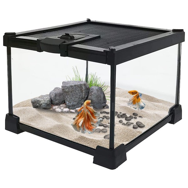 kathson Mini Reptile Glass Terrarium Tank, Transparent Full View Amphibians Breeding Box Appealing Mini Reptiles Enclosure Cage 7.9" x 7.9"x 5.7"