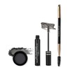 Color and Control Brow Kit (Raven)