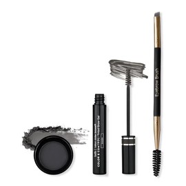 Color and Control Brow Kit (Raven)